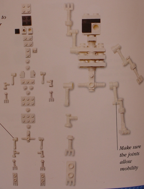 skeleton1.jpg