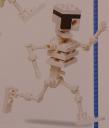 skeleton2.jpg