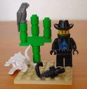 WildWest