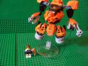 orange_014.jpg