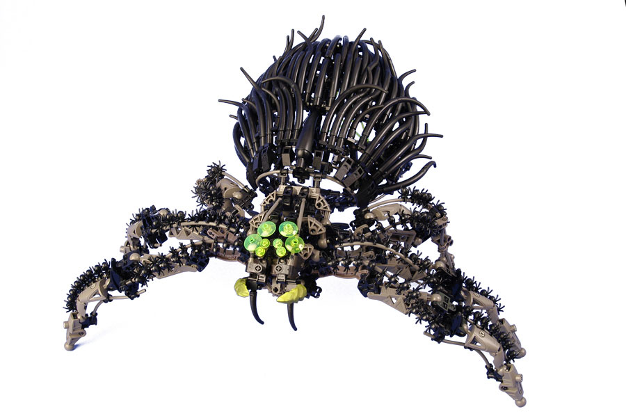 spider_01.jpg