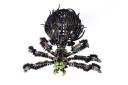 spider_06.jpg