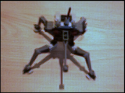 dwarfspiderdroid5.bmp