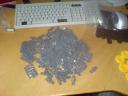 dsc05215.jpg