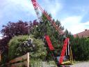 dsc00100.jpg