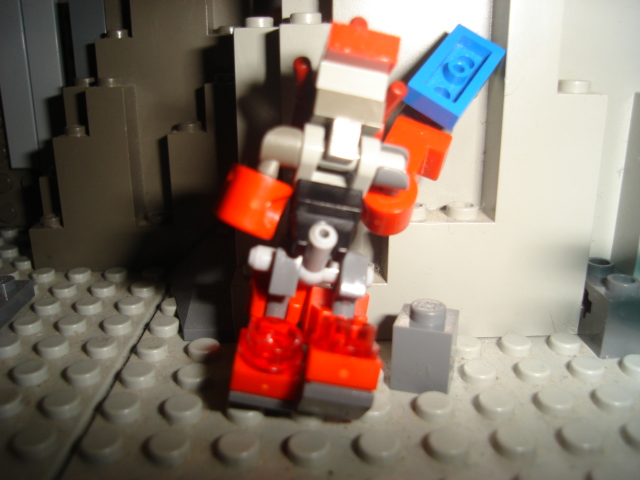 dsc01750.jpg