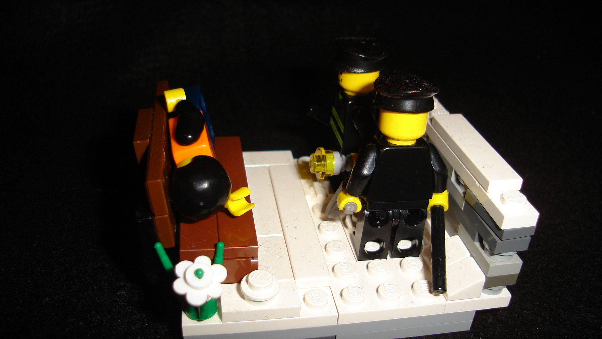 dsc01213.jpg