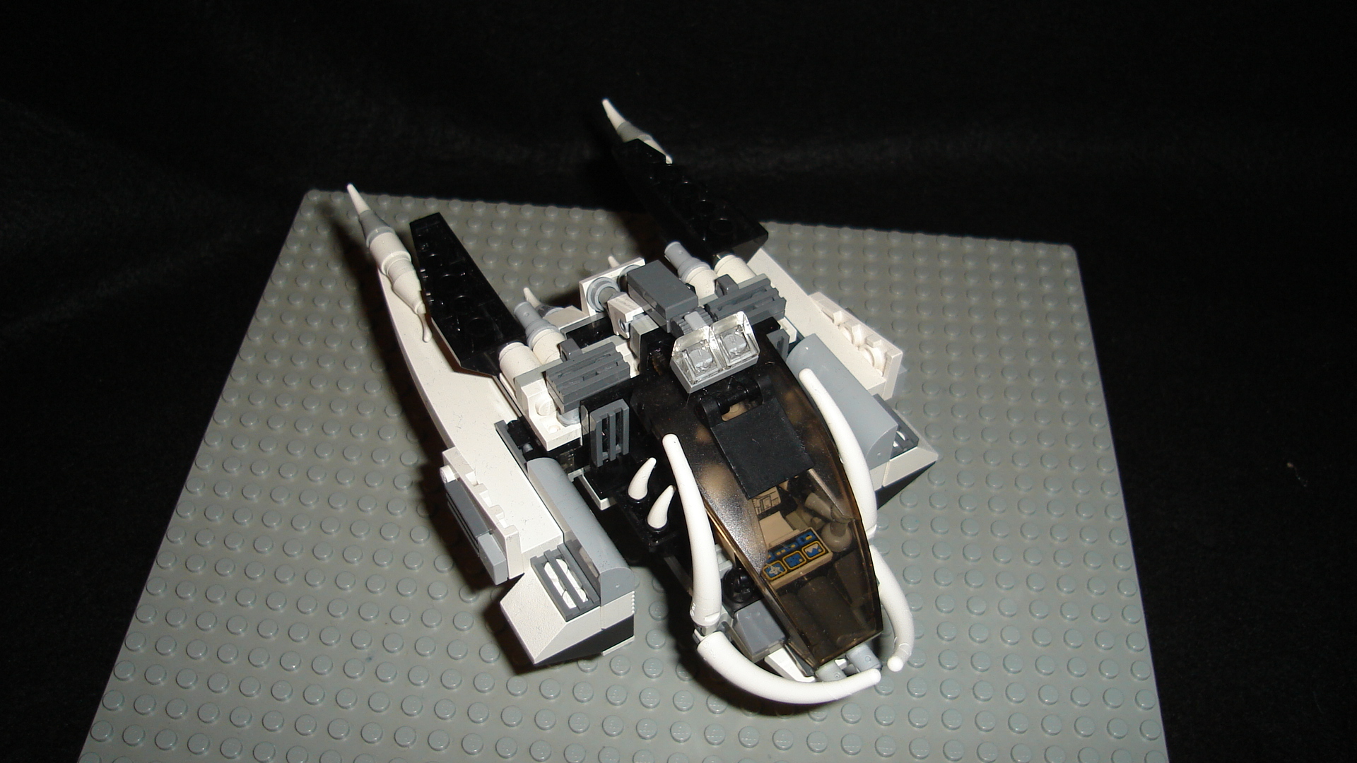 dsc01225.jpg