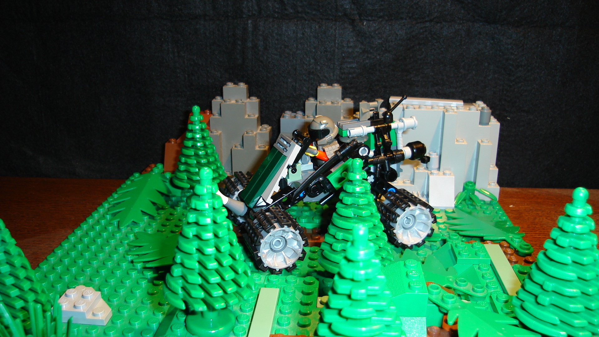 dsc01012.jpg