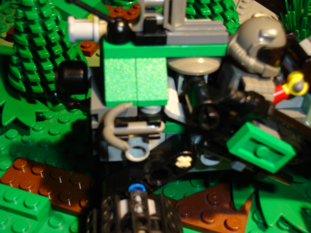 dsc01020.jpg