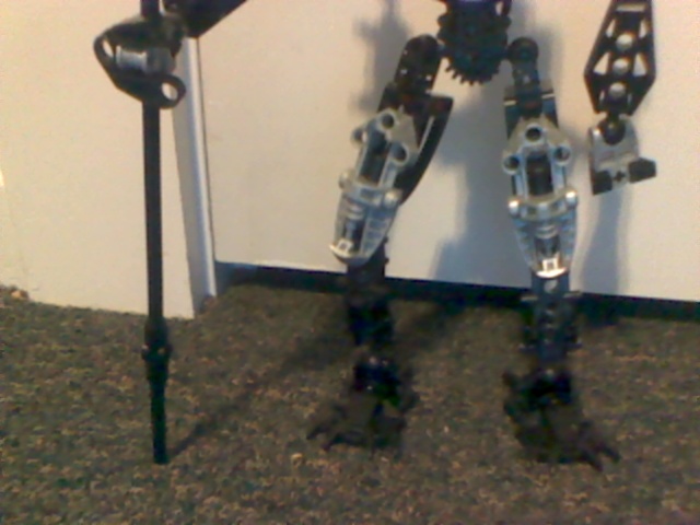 4makutaanecraxlegs.jpg