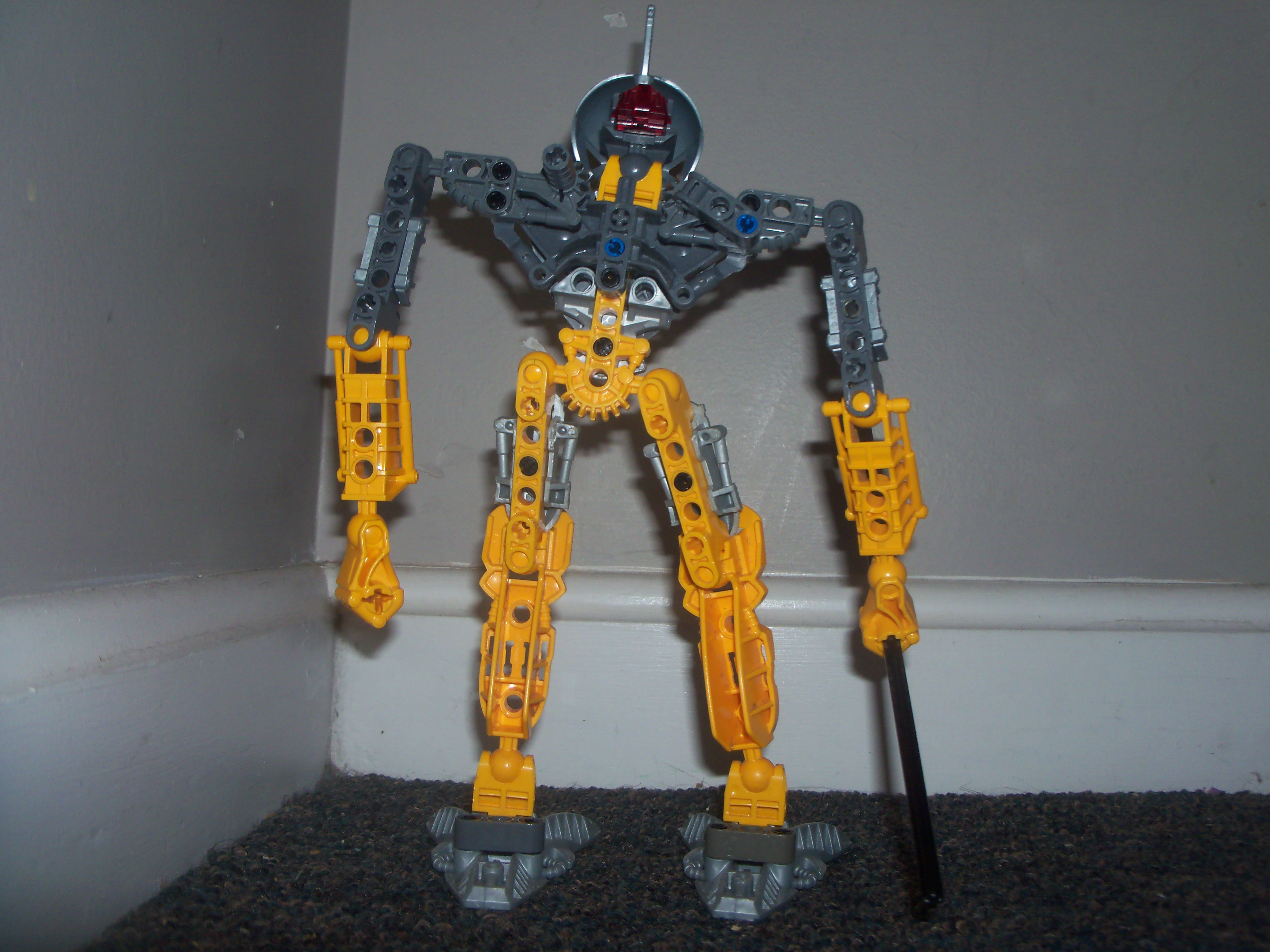 3traidmaurback.jpg