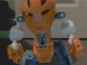 4matorantanuclose-up.jpg