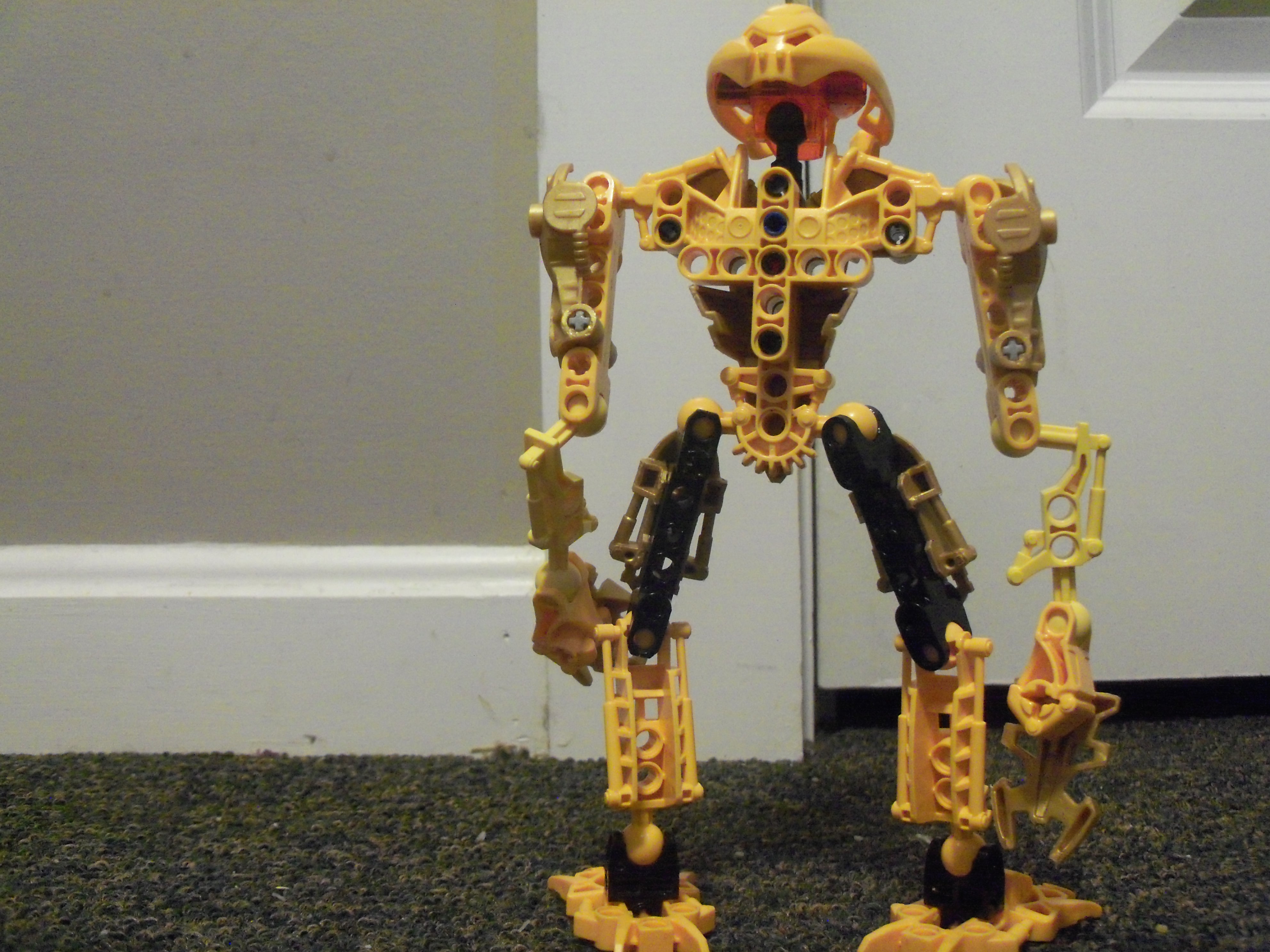 3brothersgoldwarriorback.jpg
