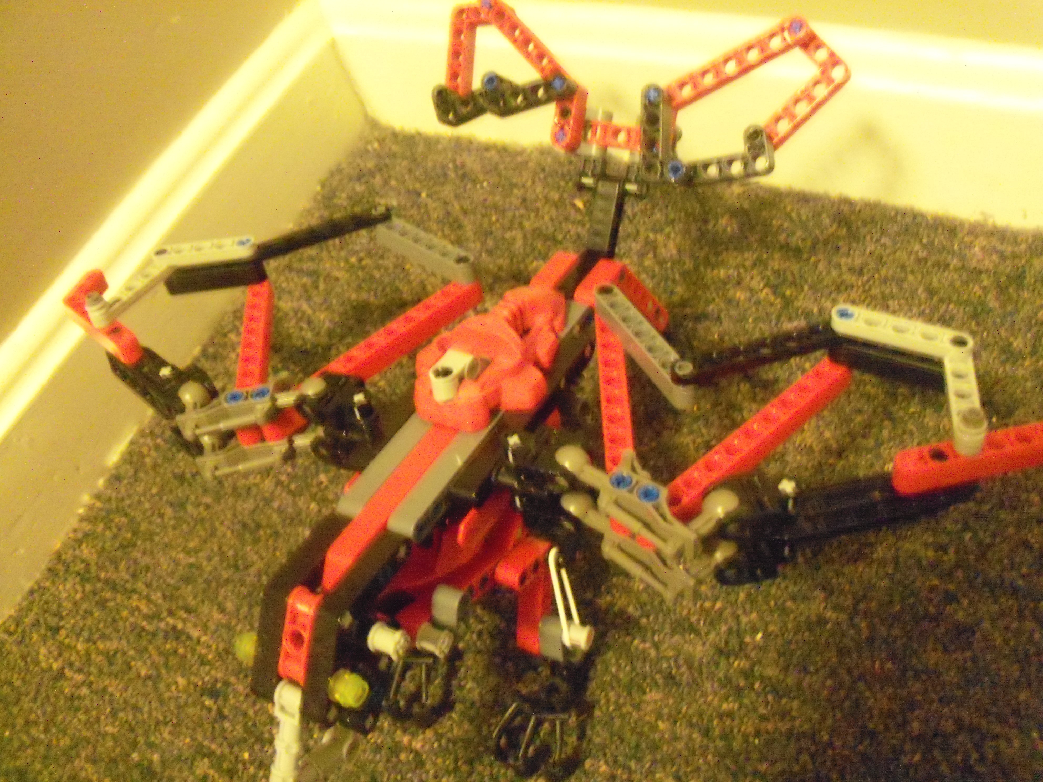 9rahikahuadjustwings.jpg