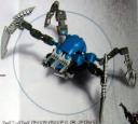dagger_spider.jpg