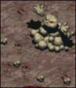 vatuka.jpg