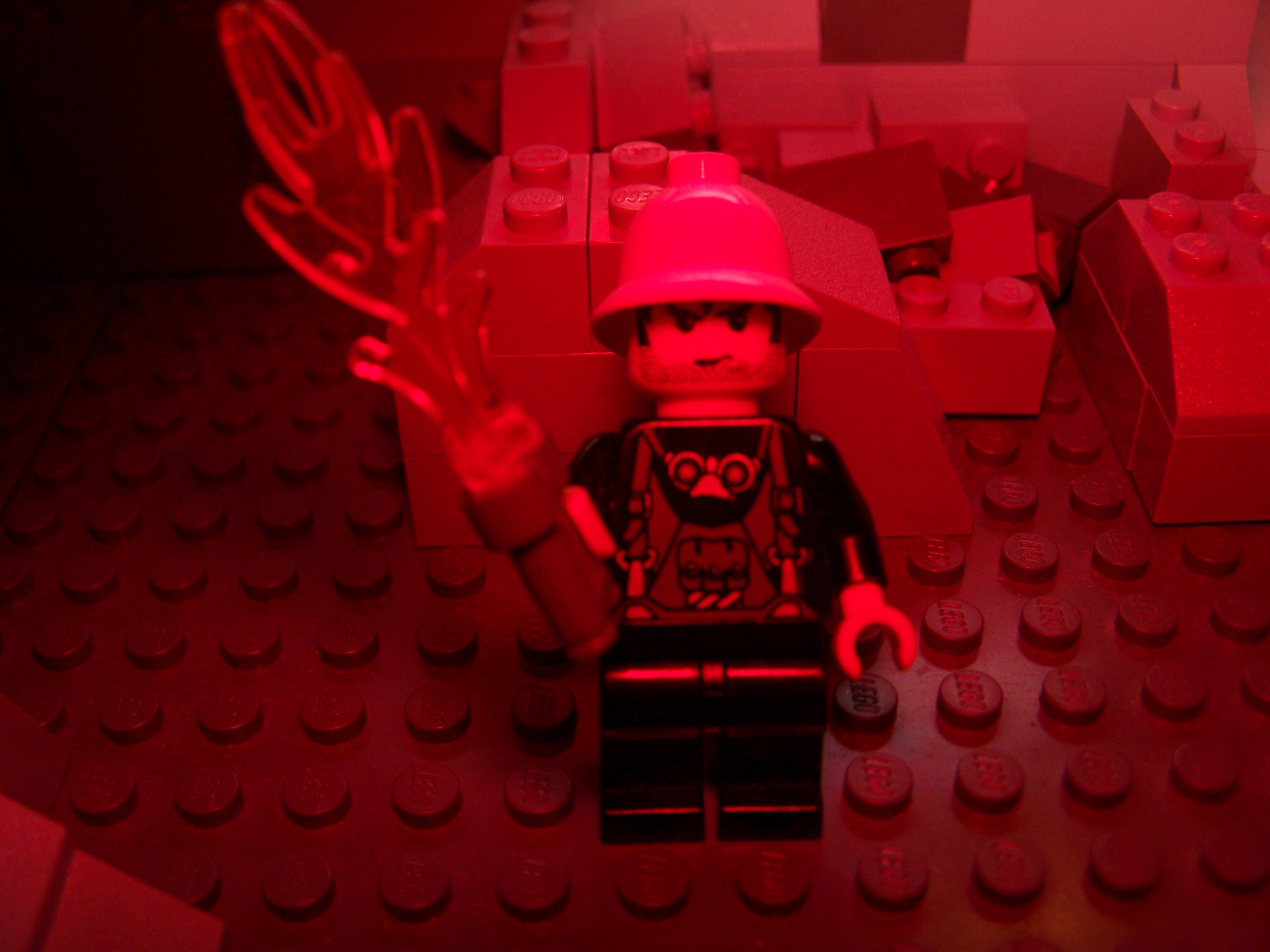 100_3917.jpg