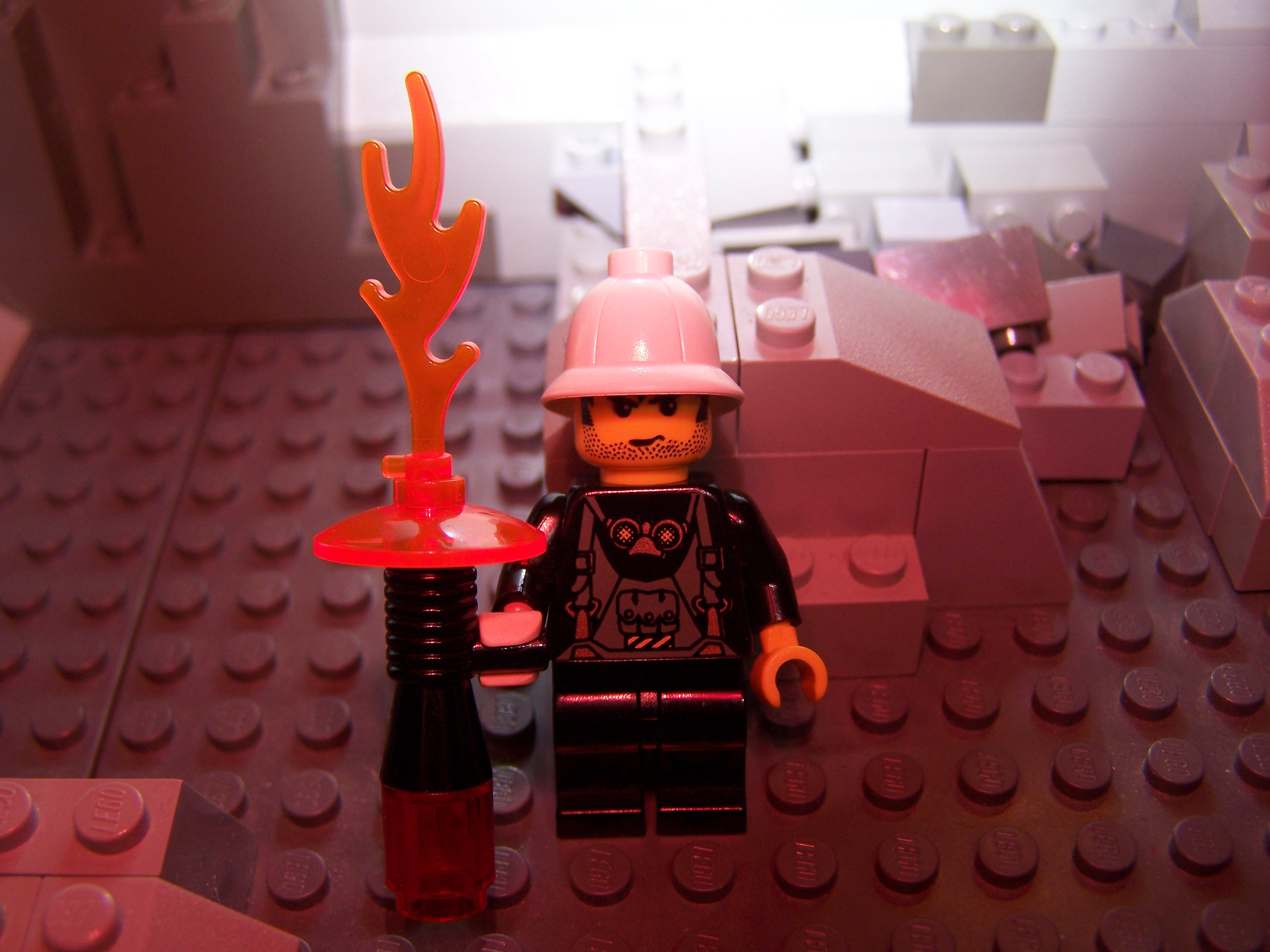 100_3920.jpg