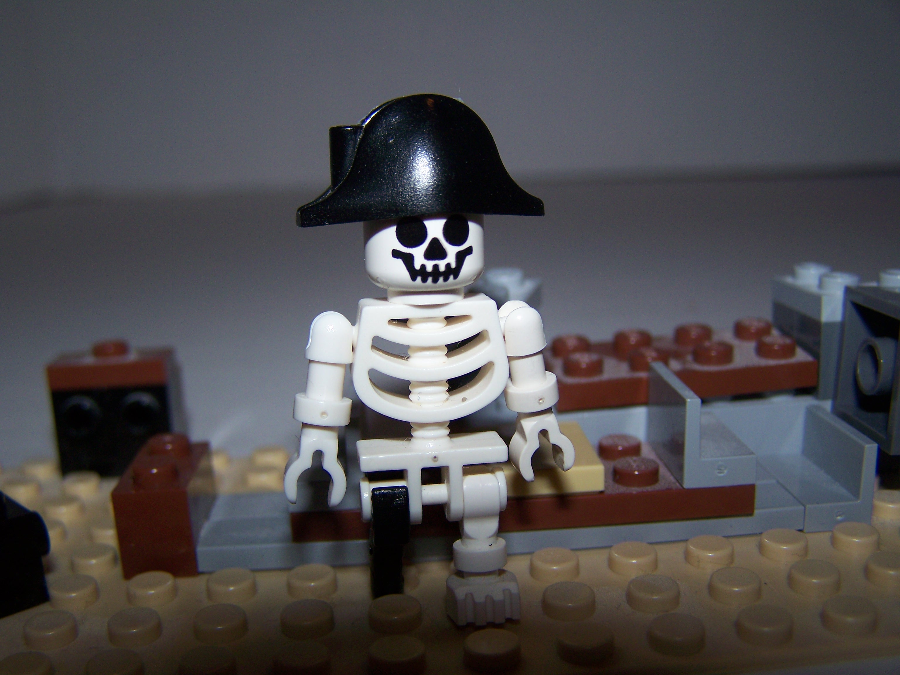 skully_sam.jpg