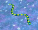 rtpu-snake.png