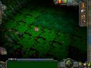 swampy-biome.png
