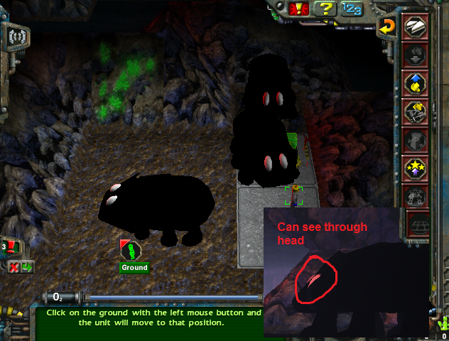 whaleswin.png