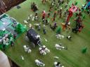 dsc01303.jpg