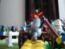 dsc01329.jpg