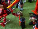 dsc01337.jpg