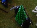 dsc01379.jpg