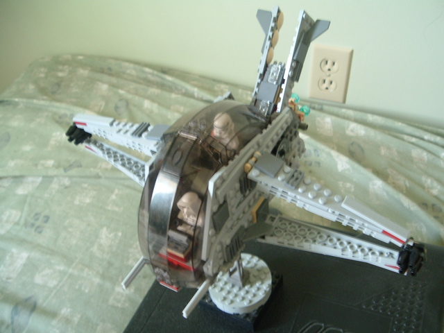 r-wing6.jpg
