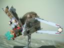 r-wing3.jpg