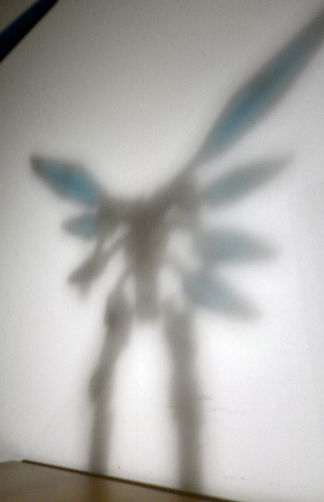 flyingmooncreature_004.jpg