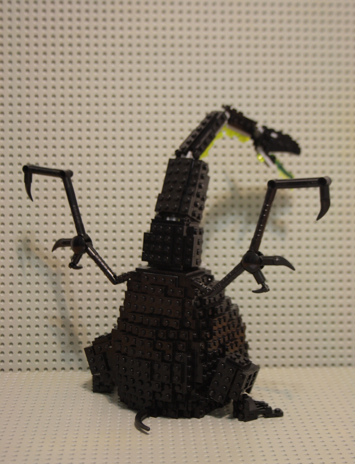 05_back.jpg