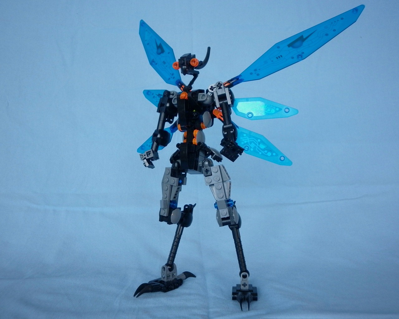 01_bluewing.jpg