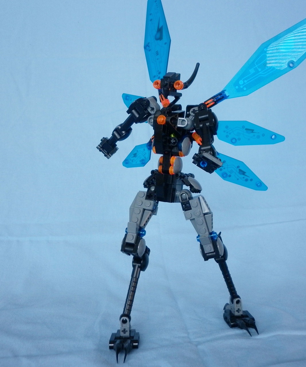 03_bluewing.jpg