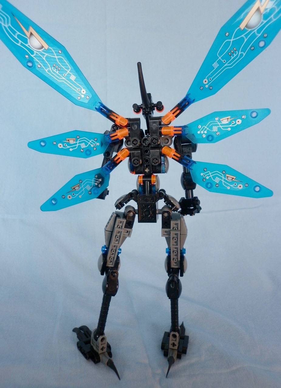 05_bluewing.jpg