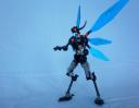 02_bluewing.jpg