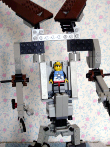 dsc00845.jpg