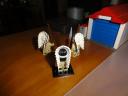 dsc029061558459.jpg