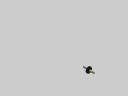step2.png