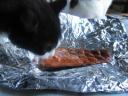 blaze_salmon_real4.jpg