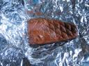 blaze_salmon_real5.jpg