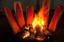 blaze_salmon_real6.jpg