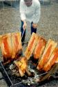 blaze_salmon_real7.jpg