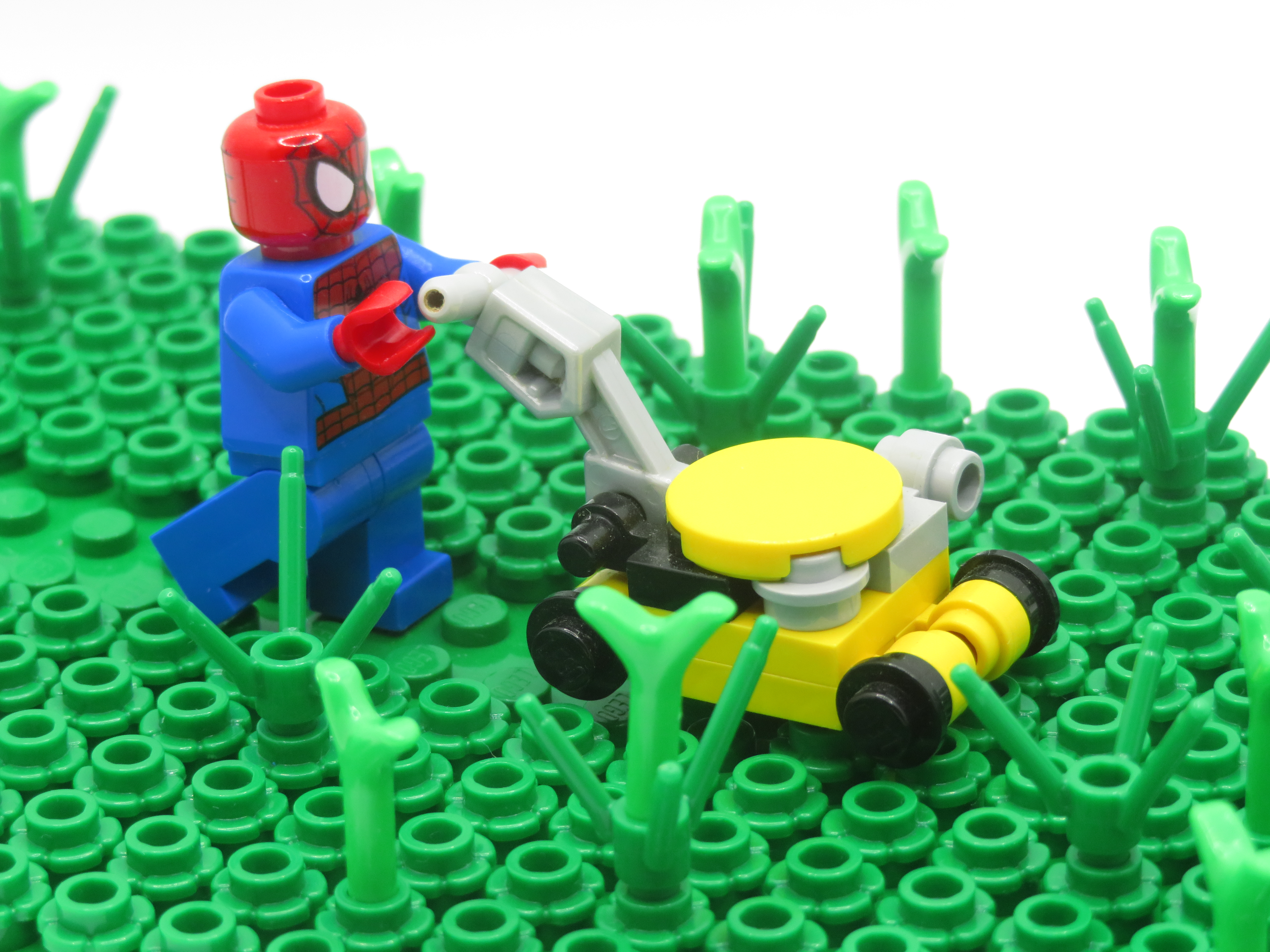 mowin.jpg