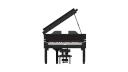 21323_piano_4.jpg
