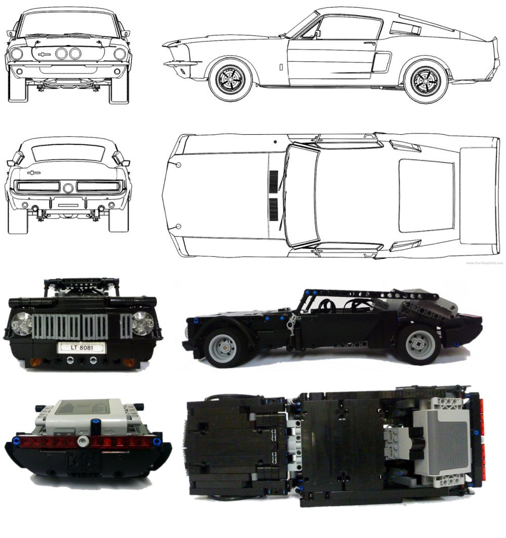 mustang8.jpg