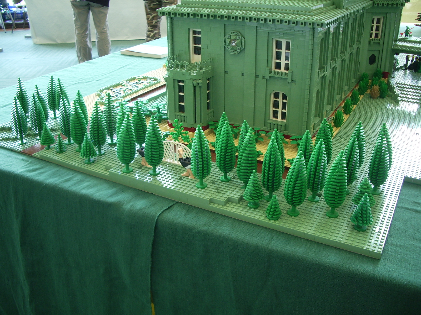 imgp5110.jpg